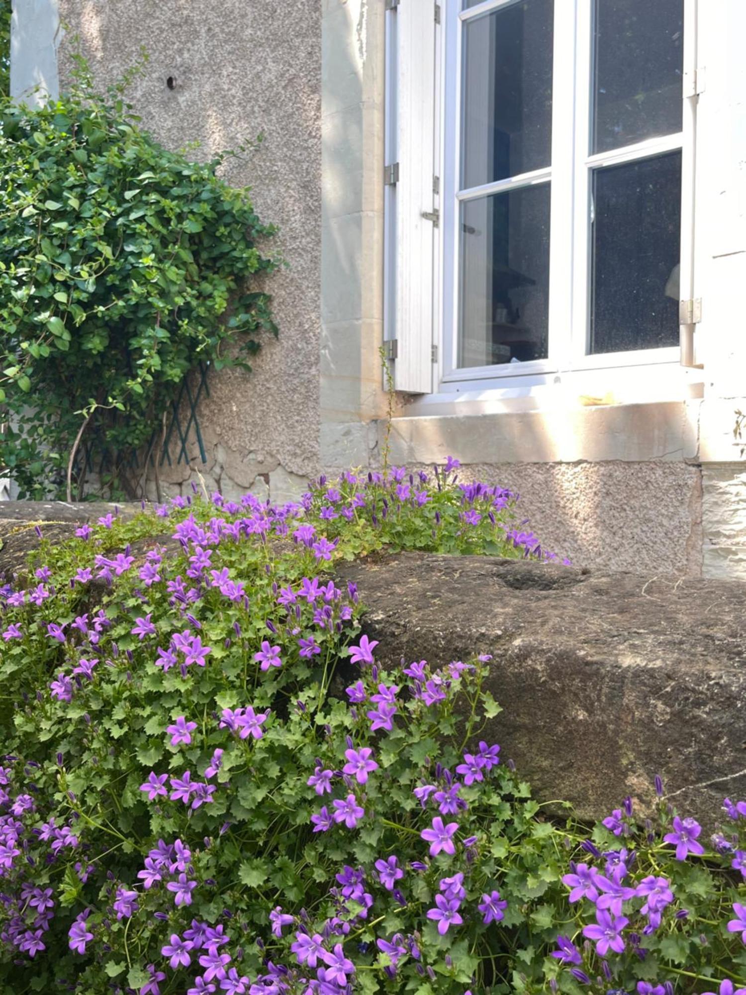 Le Clos Gabrielle Chatellerault Exterior photo